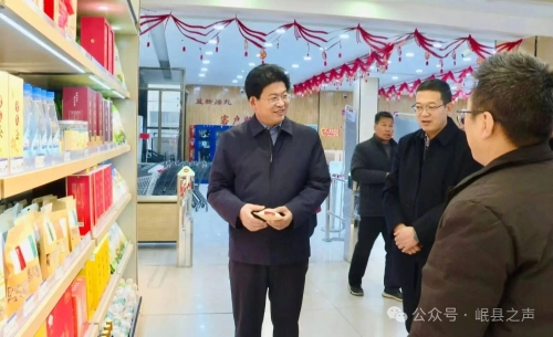 陈新民检查节假日有关工作