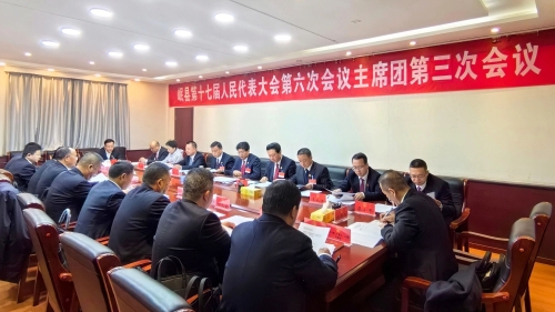 岷县第十七届人民代表大会第六次会议主席团举行...