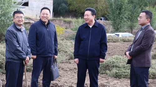 程兆祥在中寨镇梅川镇茶埠镇督导调研当前重点工...