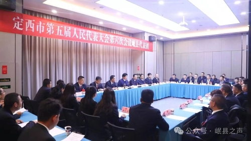 定西市第五届人民代表大会第六次会议岷县代表团...